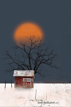 ORANGE MOONLIGHT