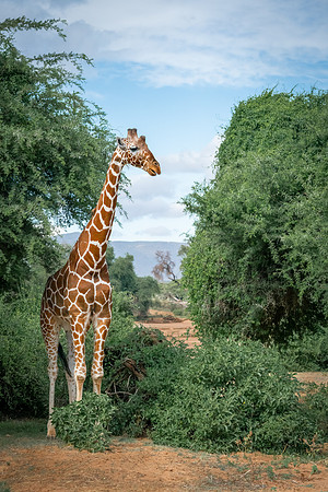 Welcome to Kenya-027