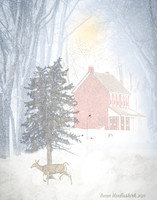 Adams House Snow Scene