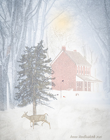 Adams House Snow Scene