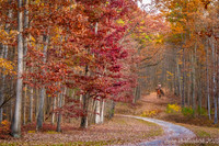Autumn Ride