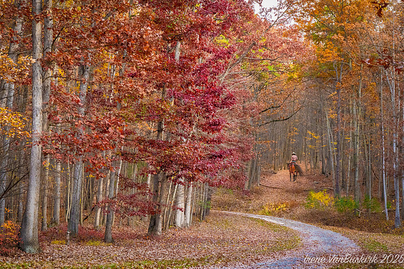 Autumn Ride