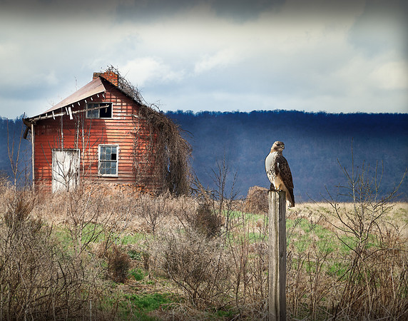 Once a Red House