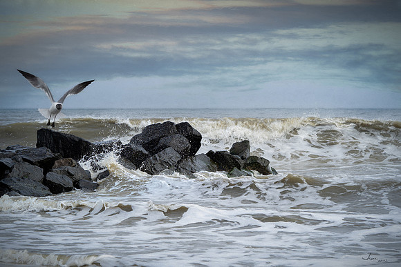 Cape May Flight