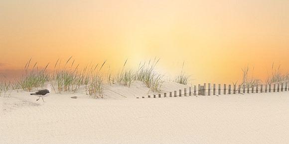 Stepping out on Beach