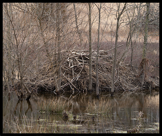 Gettysburg Beaver Dam