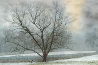 untitled-4-Edit