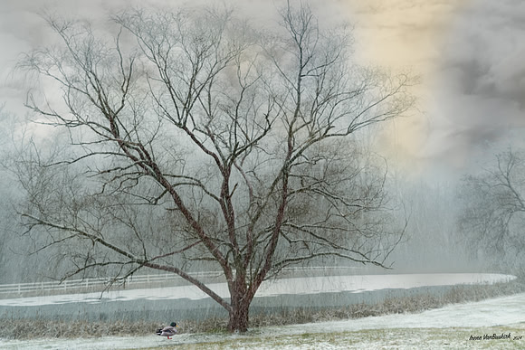 untitled-4-Edit