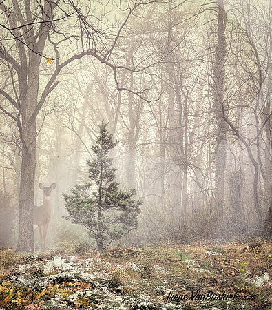 untitled-12-Edit