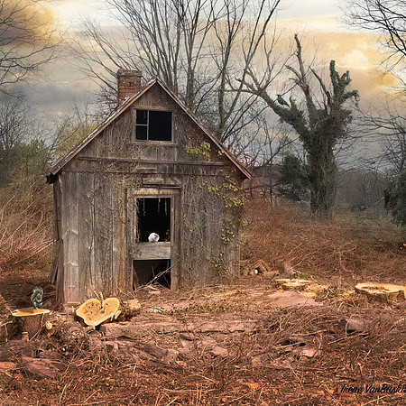 ONCE A human habitat