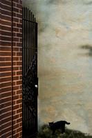 Closed Gate