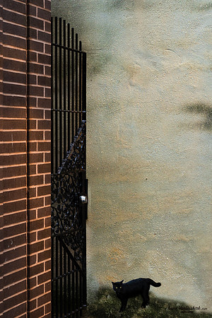 Closed Gate