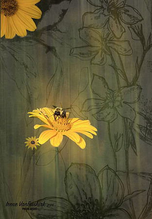 Flowers real and drawn