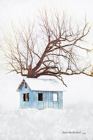 WINTER'S EMBRACE
