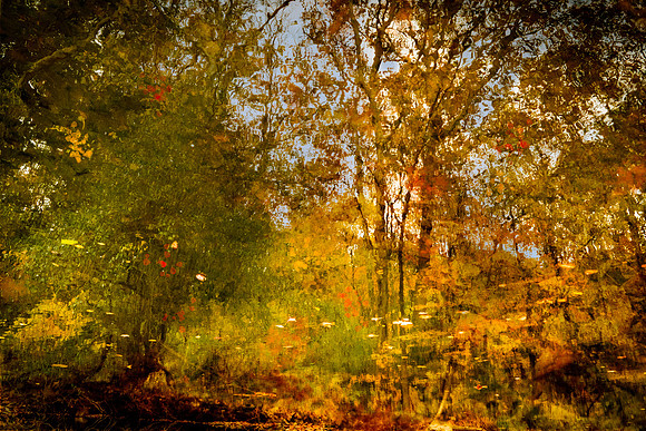 AUTUMN REFLECTIONS