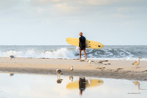 Cape May Surfer 3