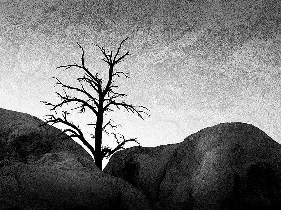 Stand Alone-
