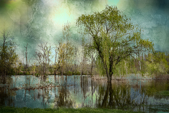 Rain Transforation