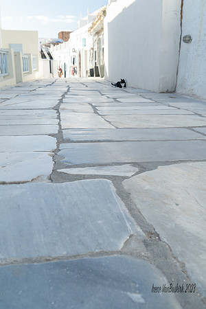 Santorini High Key w cat