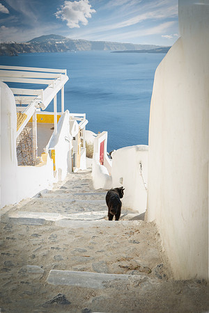 SANTORINI black CAT