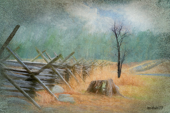 Split Rail copy