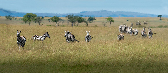 Migration Practive-