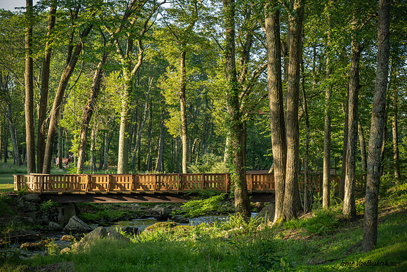 Bridge w Deer